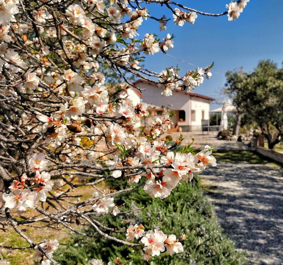 Borgo Santa Lucia Villa Cropani Dış mekan fotoğraf